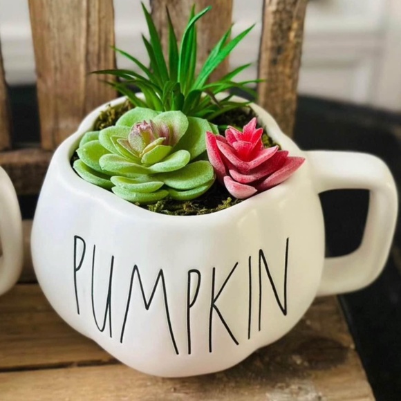 Rae Dunn Pumpkin Mug Succulent Garden - Picture 1 of 1